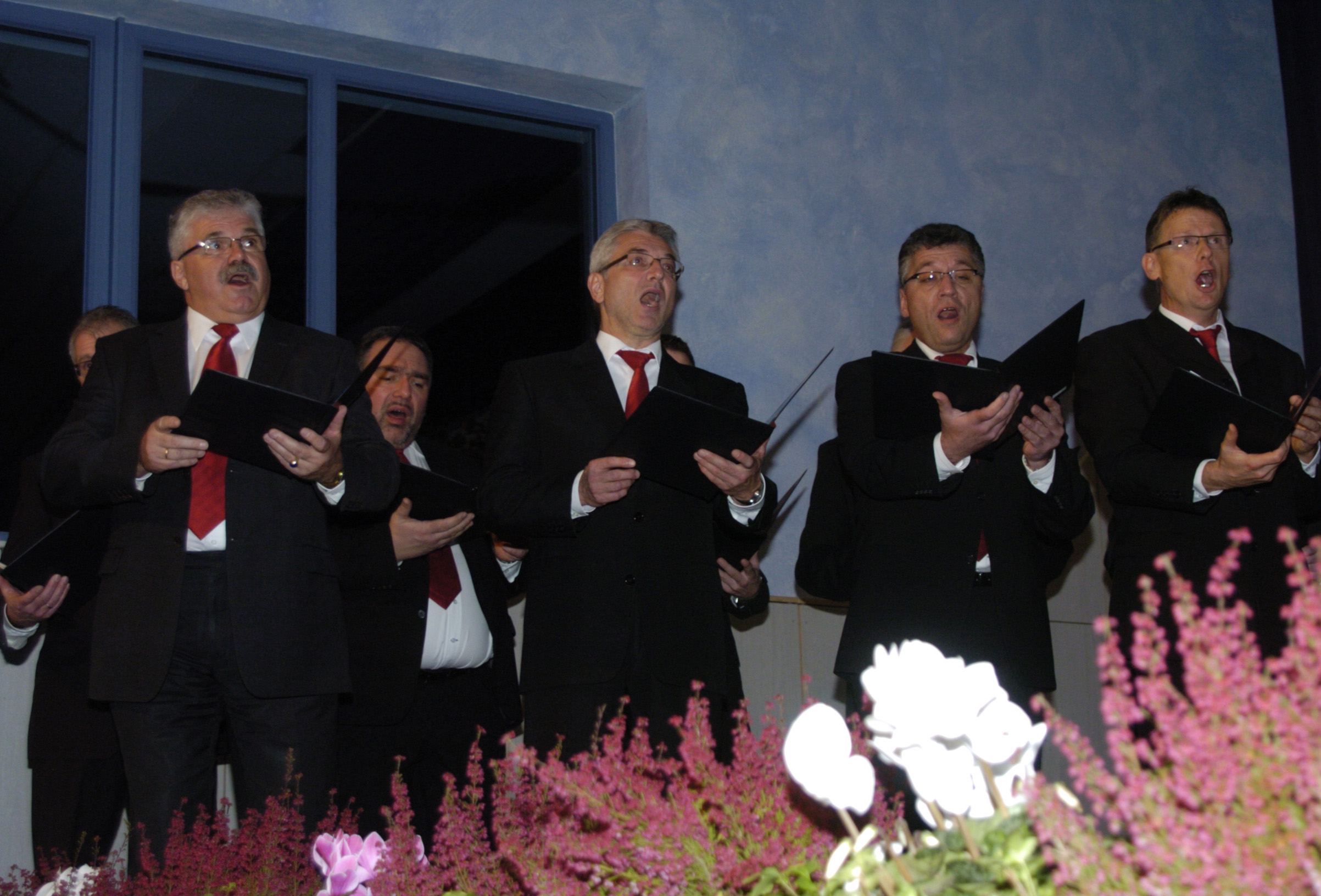 Konzert 2010 NPW FroheStunde1